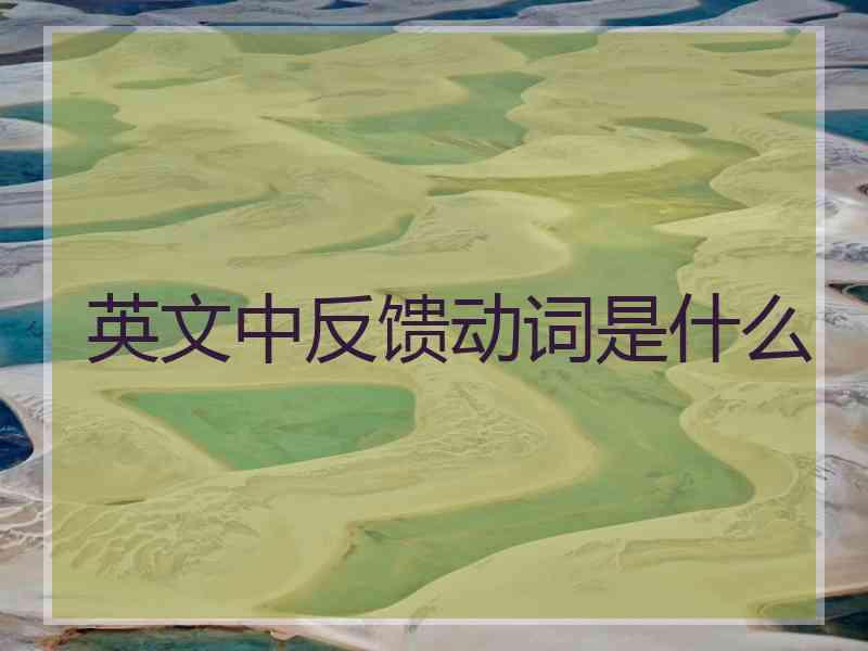 英文中反馈动词是什么