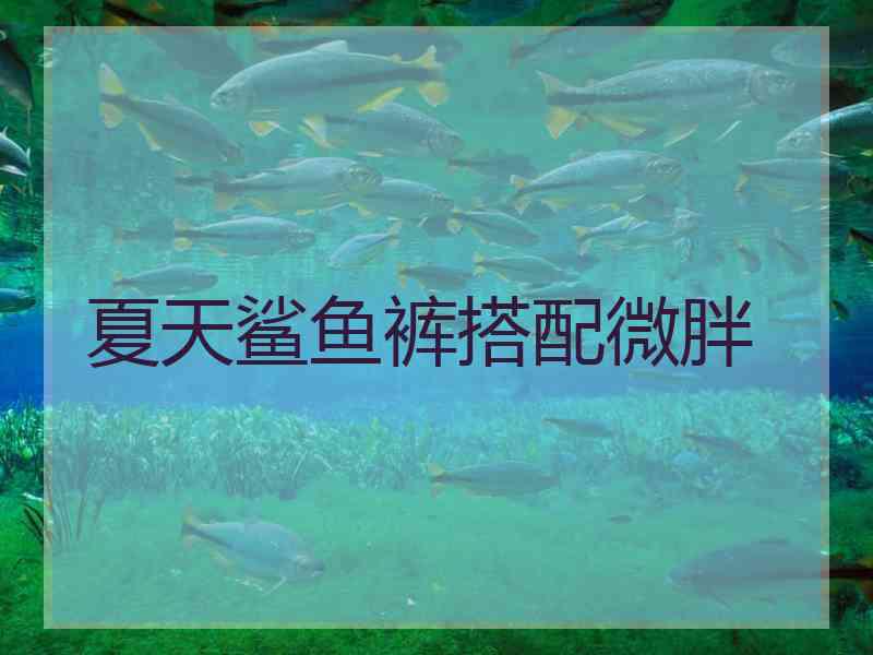 夏天鲨鱼裤搭配微胖