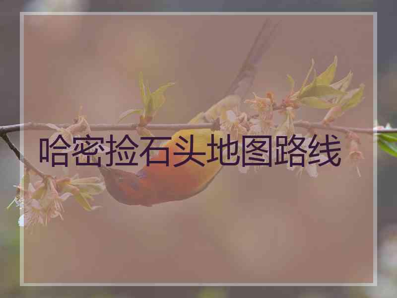 哈密捡石头地图路线