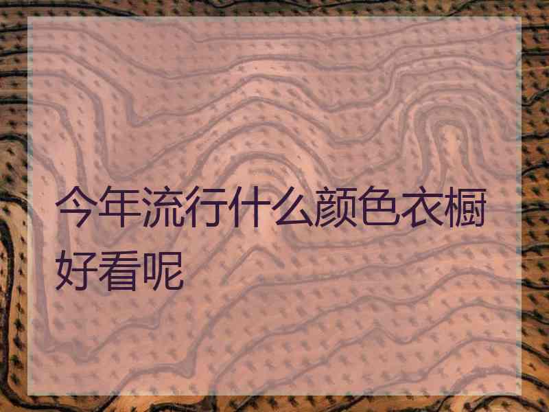 今年流行什么颜色衣橱好看呢