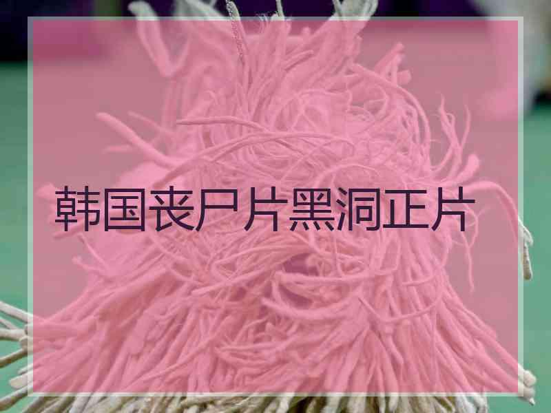 韩国丧尸片黑洞正片