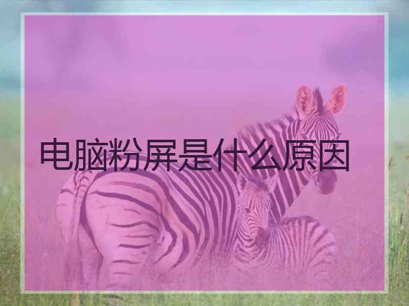 电脑粉屏是什么原因