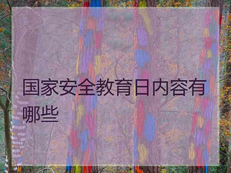 国家安全教育日内容有哪些