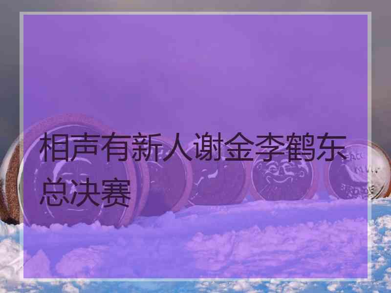相声有新人谢金李鹤东总决赛