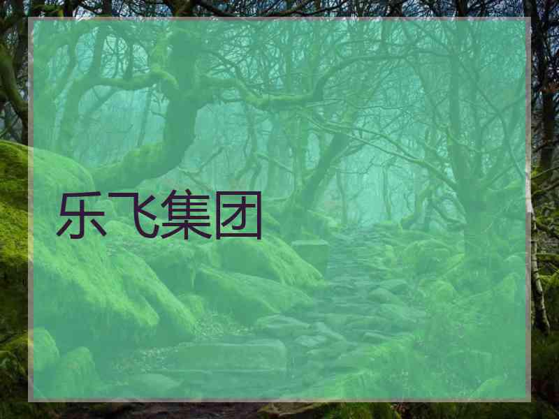 乐飞集团