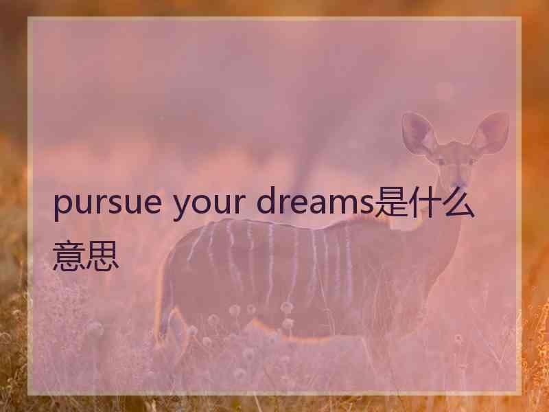 pursue your dreams是什么意思
