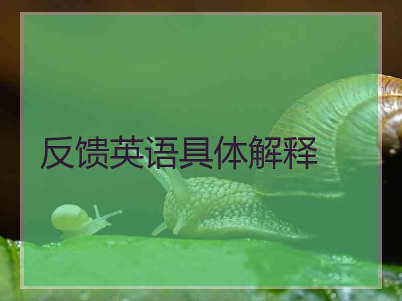 反馈英语具体解释