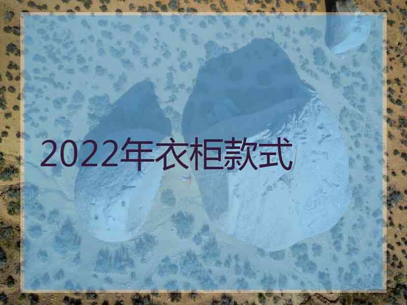 2022年衣柜款式