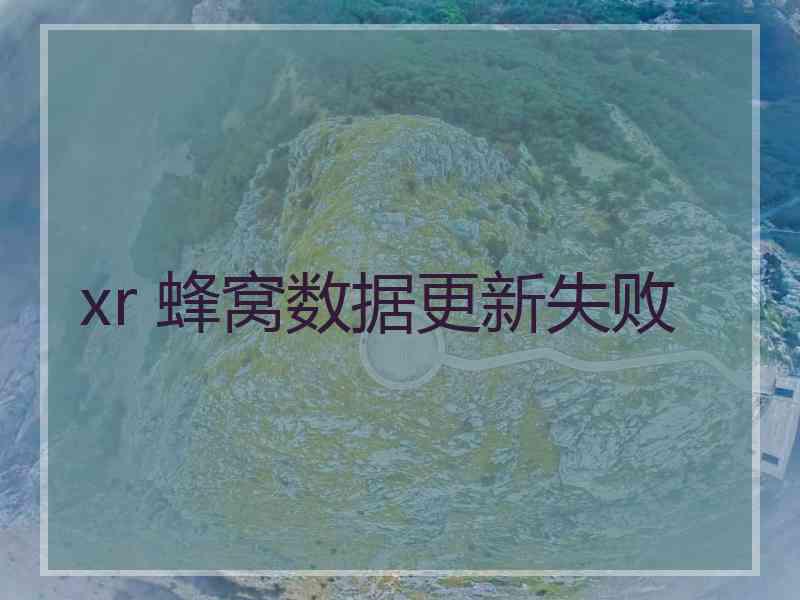 xr 蜂窝数据更新失败