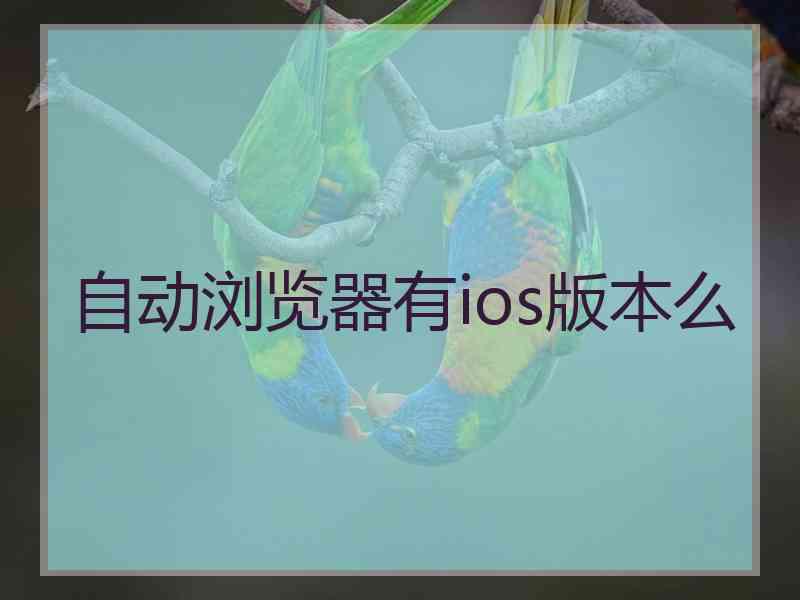 自动浏览器有ios版本么