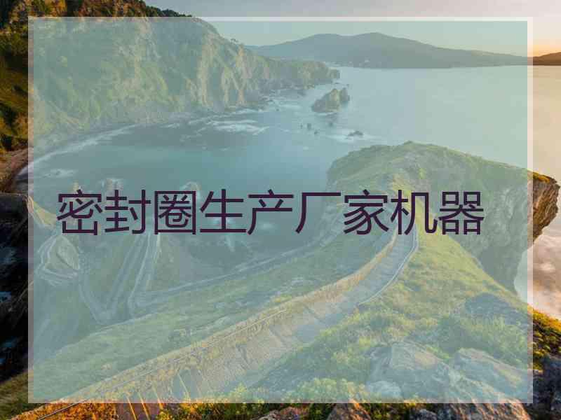 密封圈生产厂家机器
