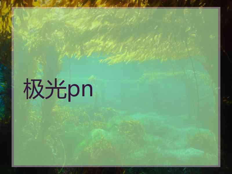 极光pn