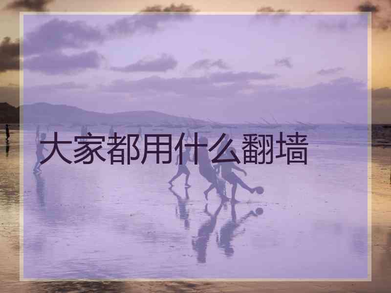 大家都用什么翻墙
