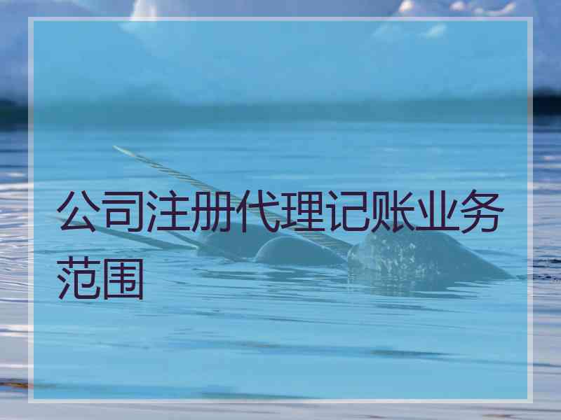 公司注册代理记账业务范围