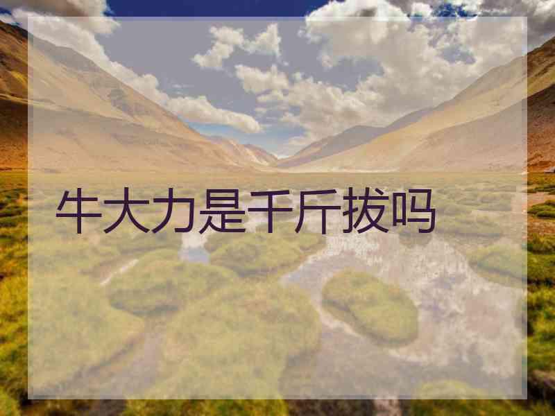 牛大力是千斤拔吗