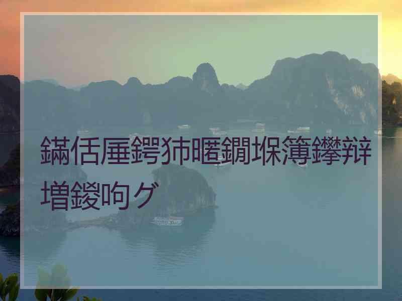 鏋佸厜鍔犻暱鐗堢簿鑻辩増鍐呴グ