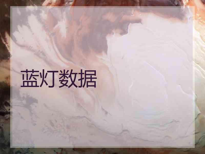 蓝灯数据
