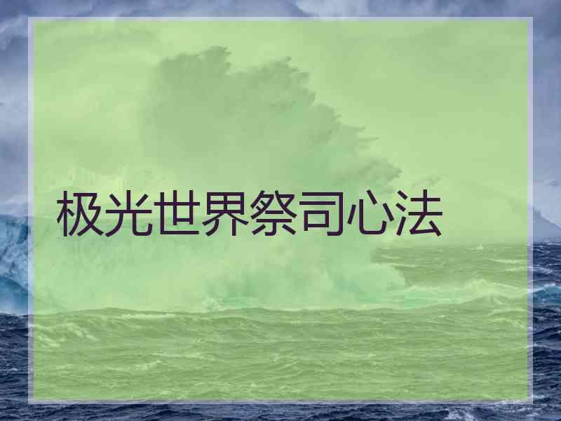 极光世界祭司心法