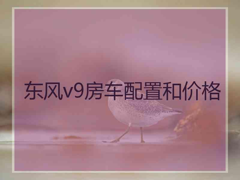 东风v9房车配置和价格