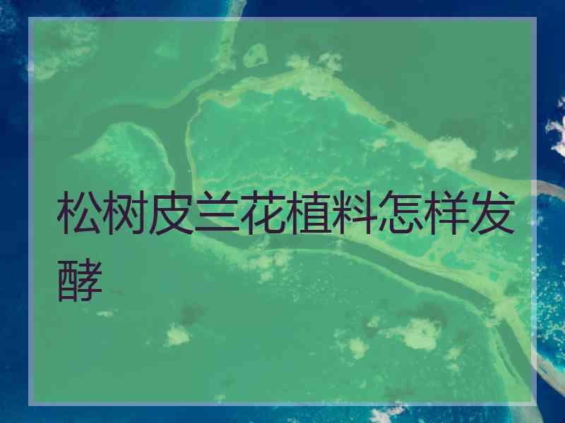 松树皮兰花植料怎样发酵