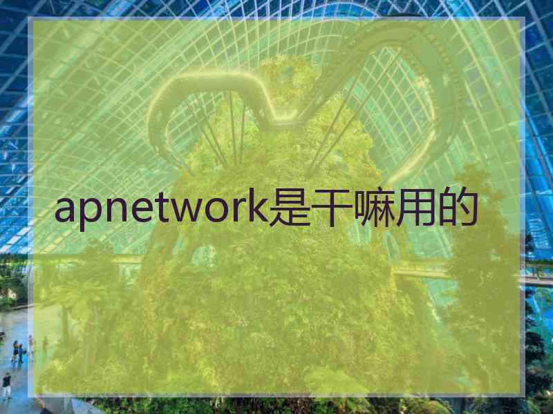 apnetwork是干嘛用的