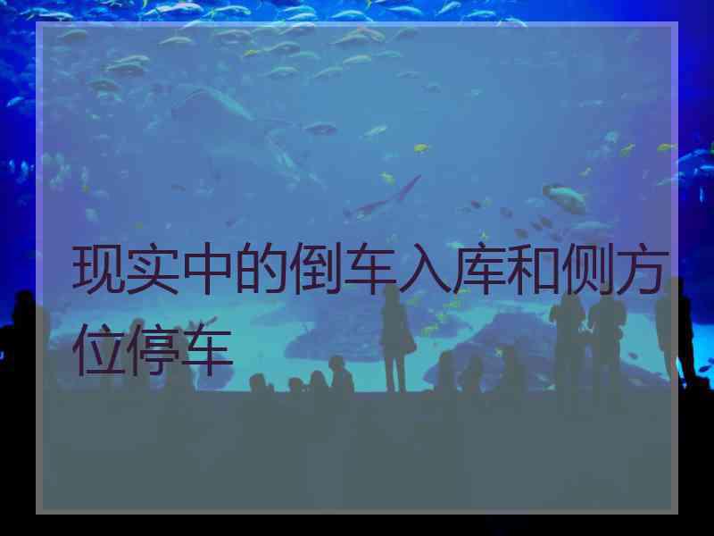 现实中的倒车入库和侧方位停车