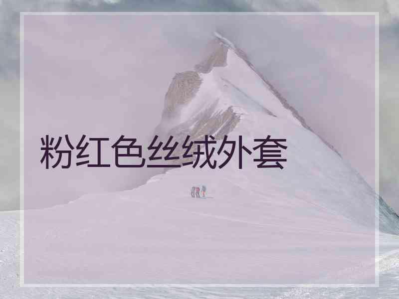 粉红色丝绒外套