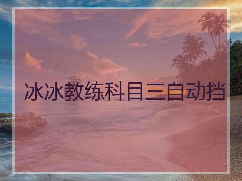 冰冰教练科目三自动挡