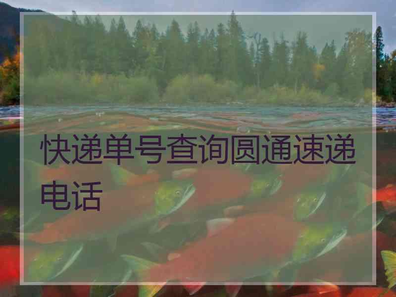 快递单号查询圆通速递电话