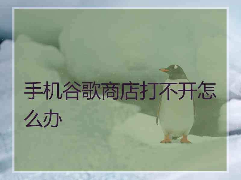 手机谷歌商店打不开怎么办