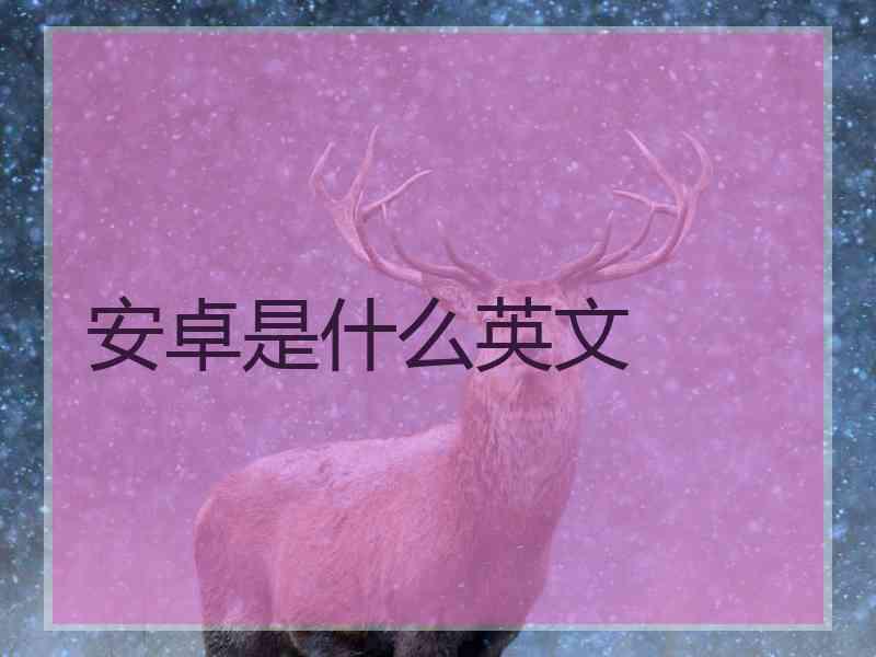 安卓是什么英文