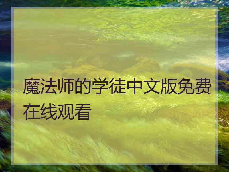 魔法师的学徒中文版免费在线观看