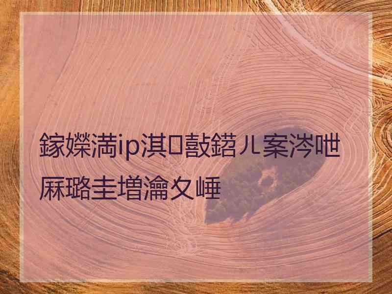 鎵嬫満ip淇敼鍣ㄦ案涔呭厤璐圭増瀹夊崜