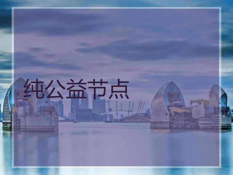 纯公益节点
