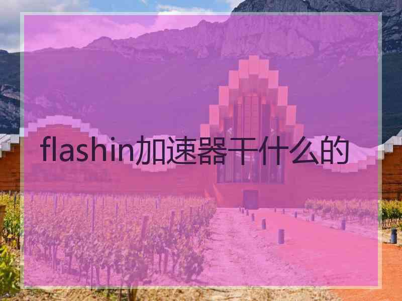 flashin加速器干什么的