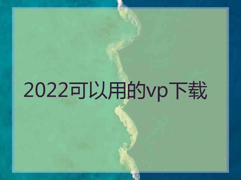 2022可以用的vp下载