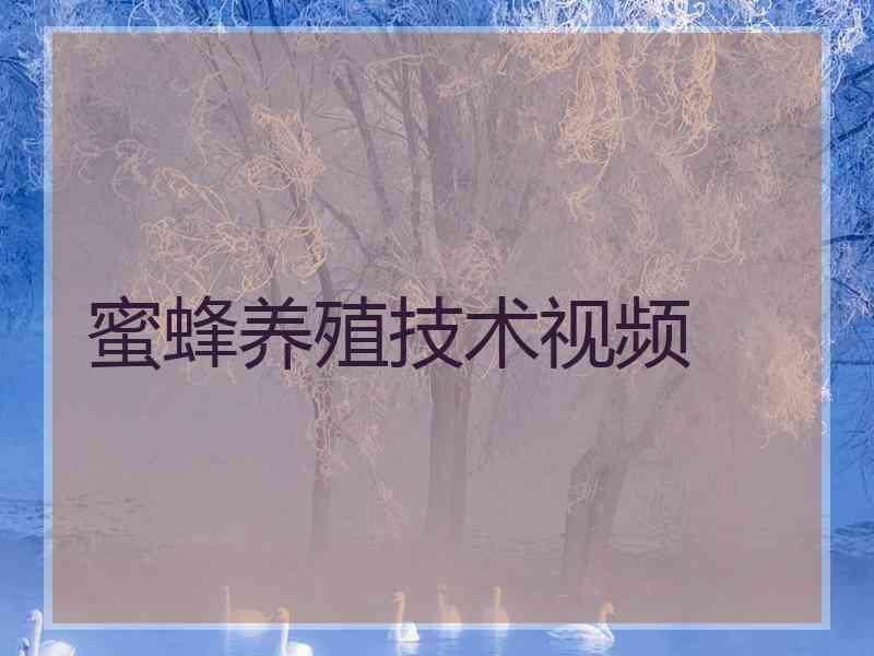蜜蜂养殖技术视频