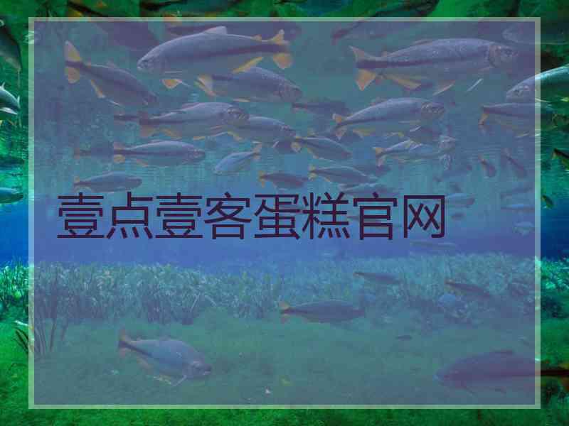 壹点壹客蛋糕官网