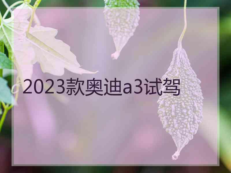 2023款奥迪a3试驾
