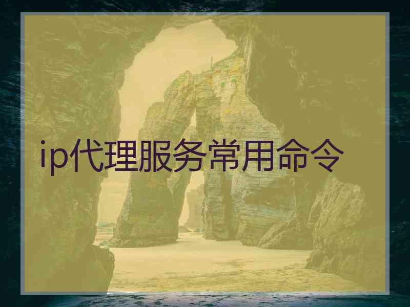 ip代理服务常用命令
