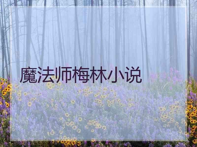 魔法师梅林小说