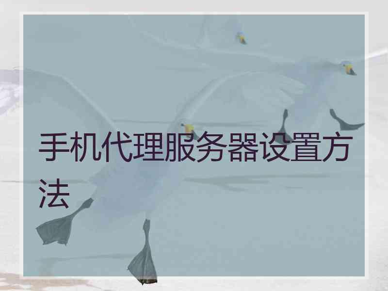 手机代理服务器设置方法