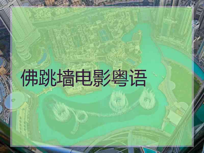 佛跳墙电影粤语