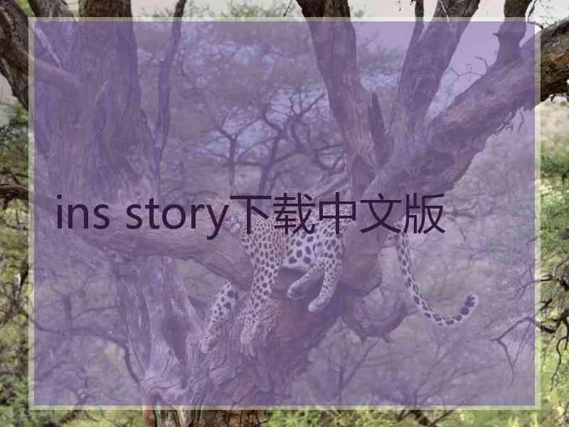 ins story下载中文版