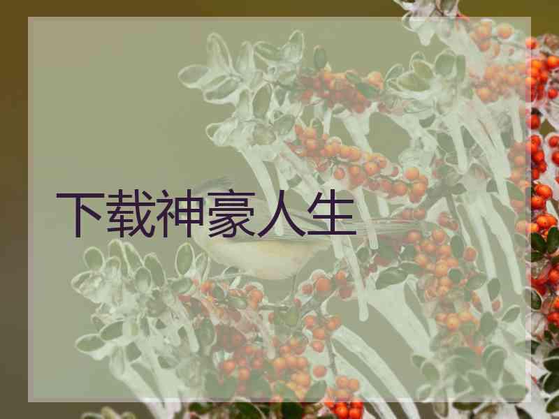 下载神豪人生