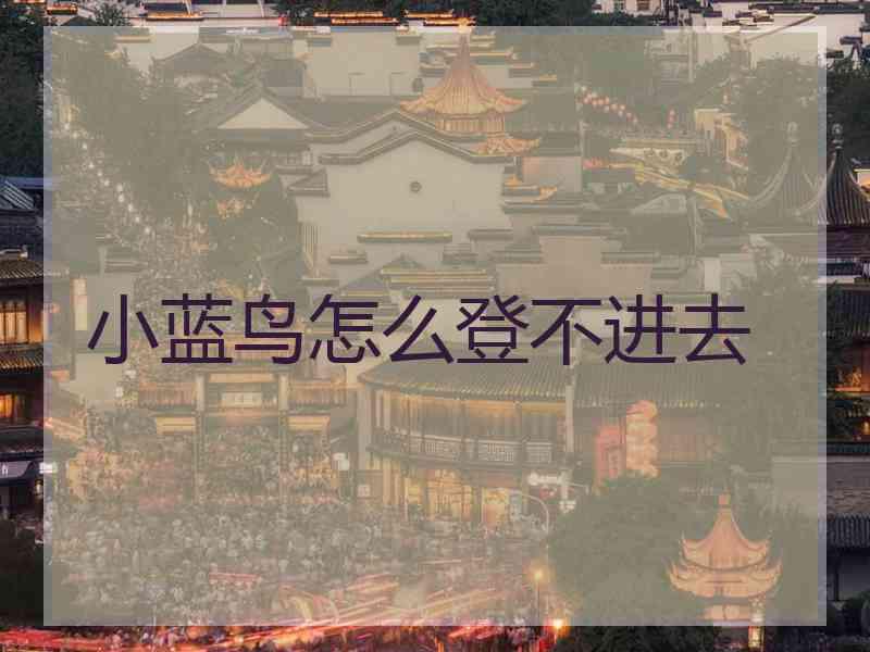 小蓝鸟怎么登不进去