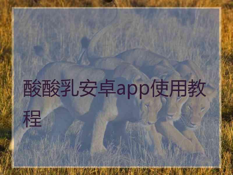 酸酸乳安卓app使用教程