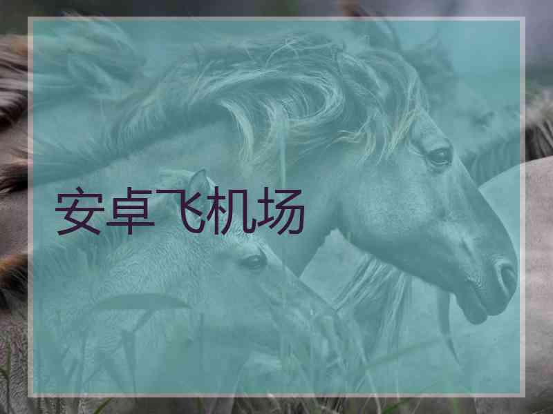 安卓飞机场