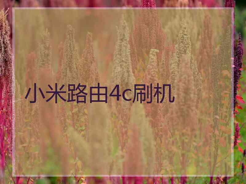 小米路由4c刷机