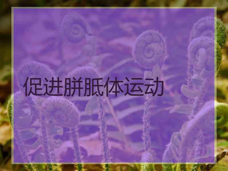 促进胼胝体运动